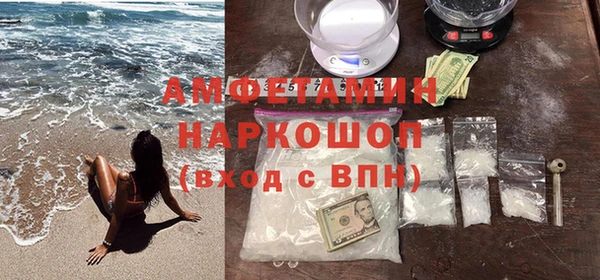 молекула духа Богданович