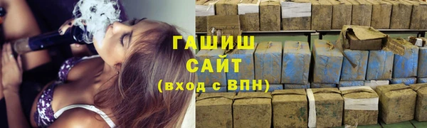 молекула духа Богданович