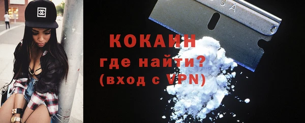 молекула духа Богданович