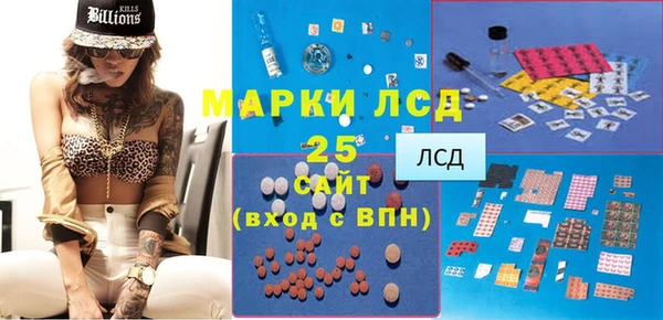 молекула духа Богданович