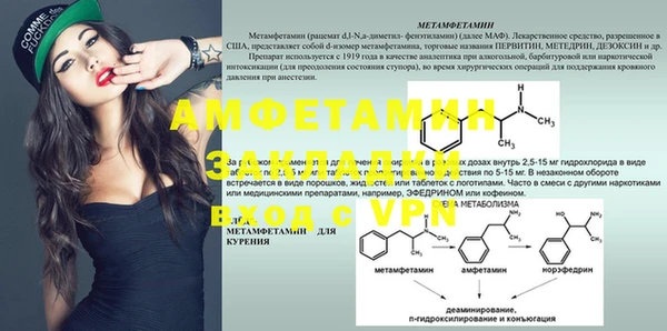 молекула духа Богданович