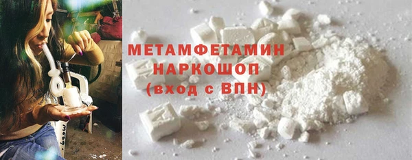 молекула духа Богданович