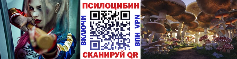 где можно купить   KRAKEN ONION  Псилоцибиновые грибы мицелий  Духовщина 